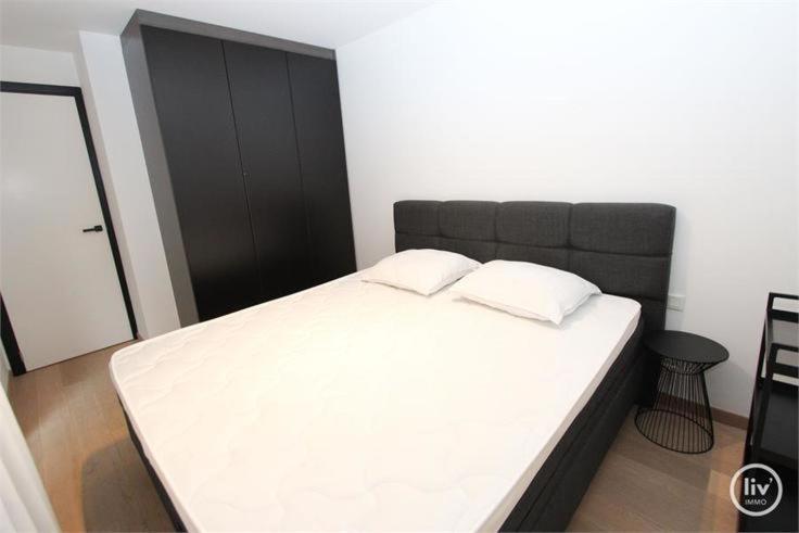 Appartement Spacieux A Knokke Zewnętrze zdjęcie
